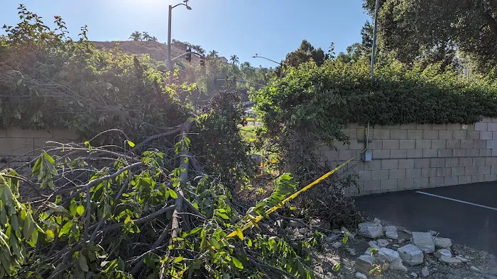 Villa Magnolia Senior Mobile Home Park Picture 3