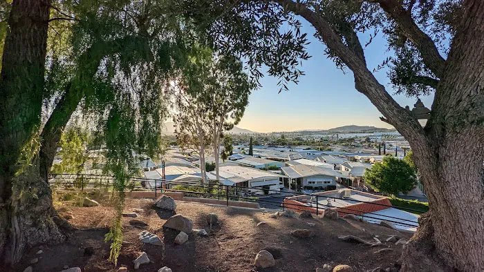 Villa Magnolia Senior Mobile Home Park Picture 6