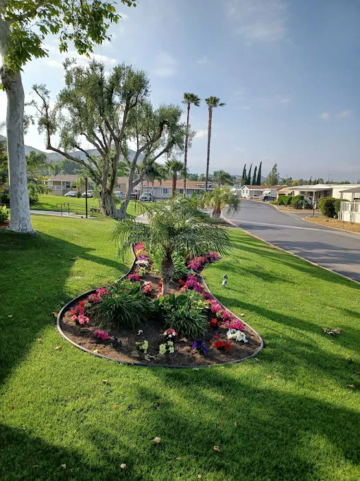 Riverside Meadows Mobile Home Picture 10