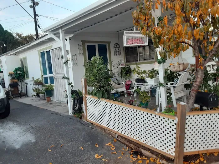 Palm Terrace Mobile Village Picture 4
