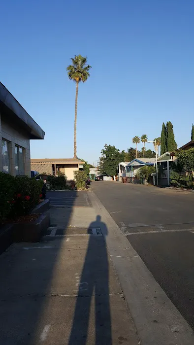 Coach Royal Mobile Home Park Picture 8