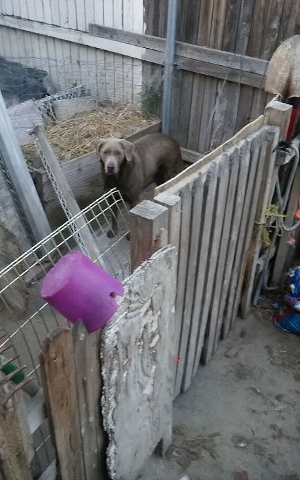 Coach Royal Mobile Home Park Picture 1