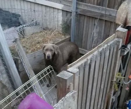 Coach Royal Mobile Home Park