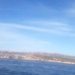 The Meadows in Irvine