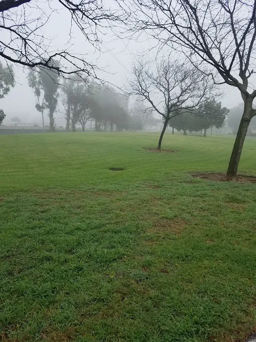 The Meadows in Irvine Picture 8