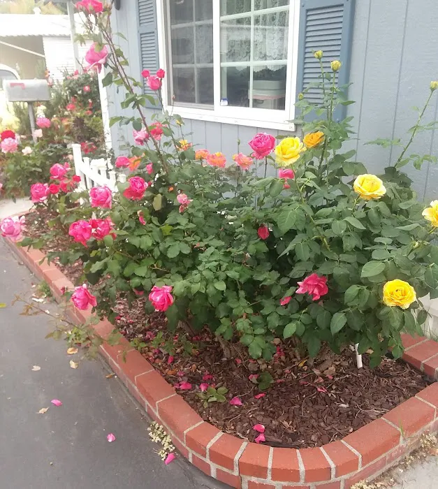 Whittier East Mobile Home Park Picture 3