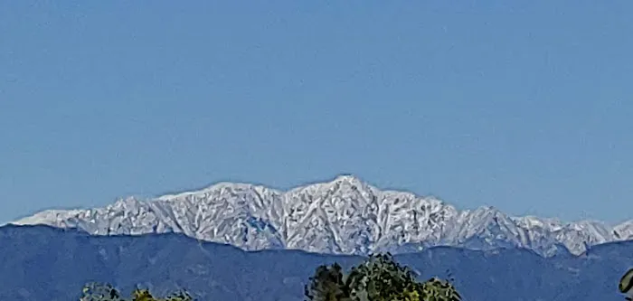 Covina Hills Mobile Home Community Picture 3