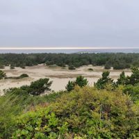 Mobil Aire Estates ico