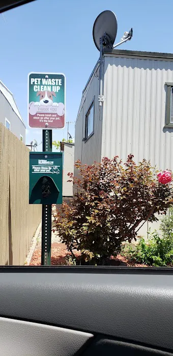 Del Prado Mobile Home Park Picture 3