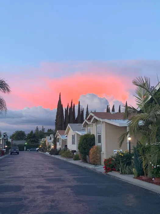 Del Prado Mobile Home Park Picture 4