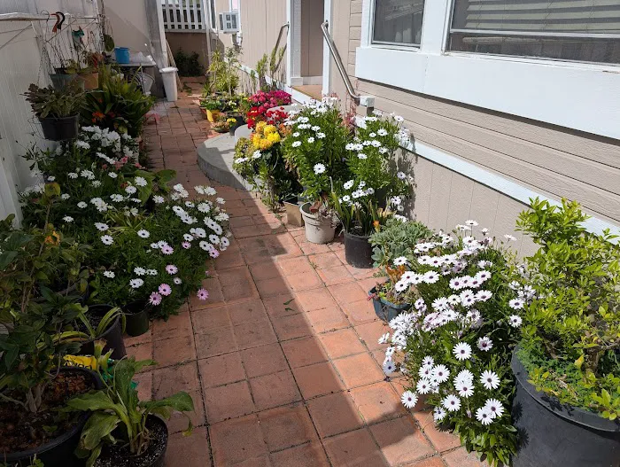 El Dorado Mobile Home Park Picture 2