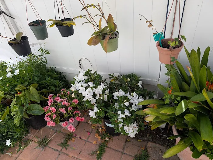 El Dorado Mobile Home Park Picture 1