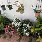 El Dorado Mobile Home Park