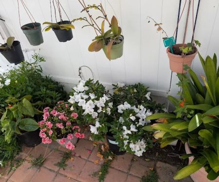 El Dorado Mobile Home Park