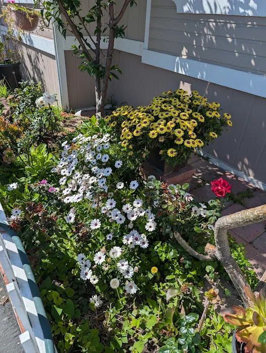 El Dorado Mobile Home Park Picture 4