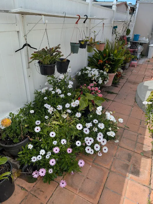 El Dorado Mobile Home Park Picture 3