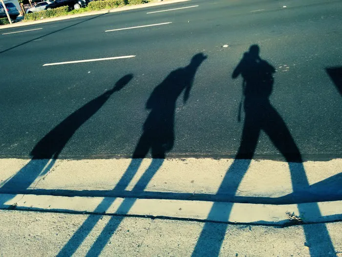 Pacific Sunset Mobile Home Est Picture 4