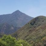 La Belle Fontaine Mobile Ests