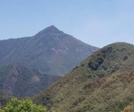 La Belle Fontaine Mobile Ests