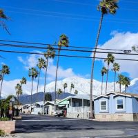 Oasis Mobile Home Estates ico