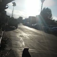 Liberty Mobile Home Park LLC ico