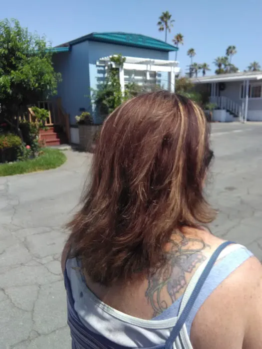 Town & Country Trailer park Picture 5