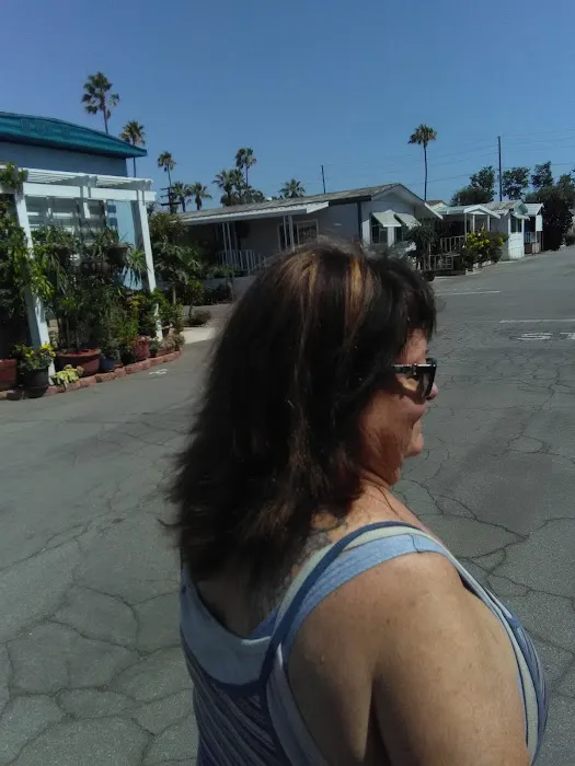 Town & Country Trailer park Picture 6