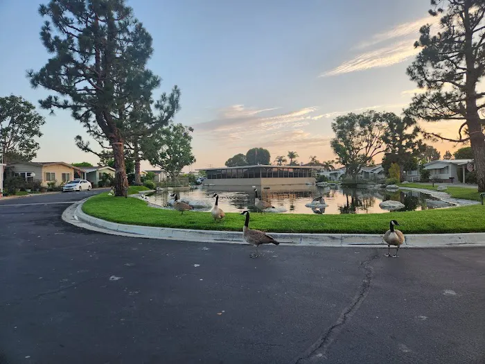 Lake Park Santa Ana Picture 3