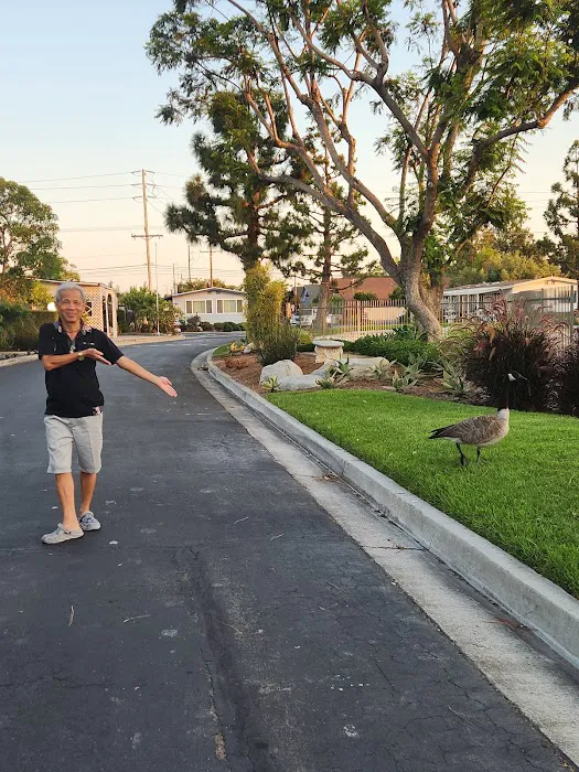 Lake Park Santa Ana Picture 4