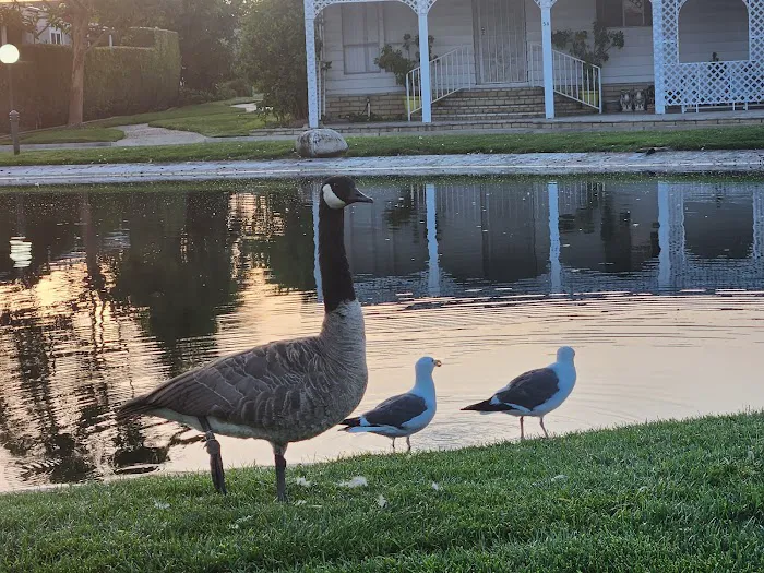 Lake Park Santa Ana Picture 7