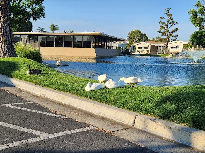Lake Park Santa Ana Picture 6