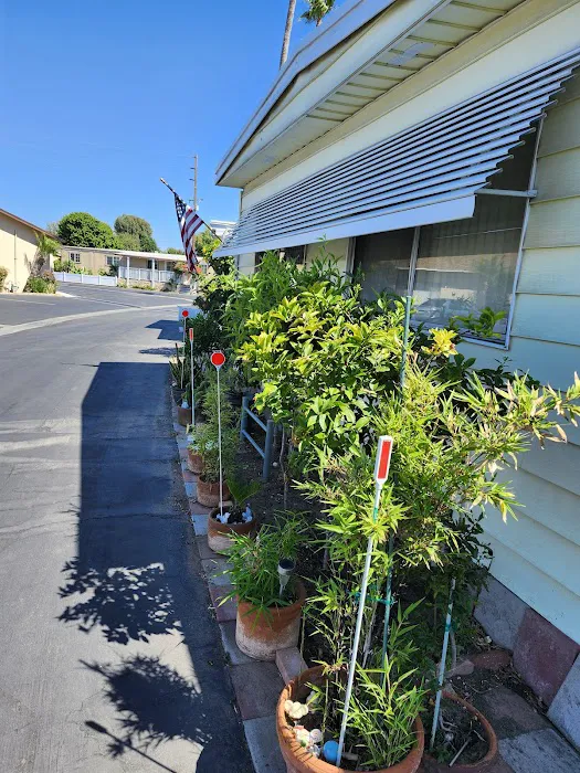 Kona Kai Mobile Home Park Picture 1