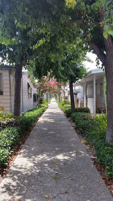 Prothero Mobile Estates Picture 7