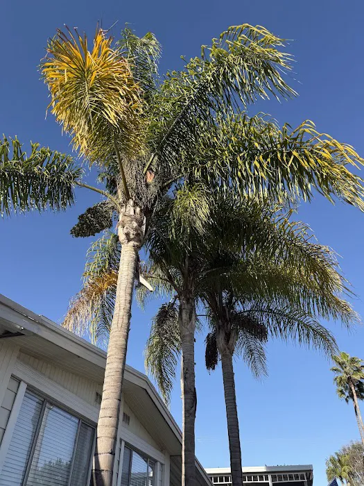 El Toro Mobile Estates Picture 10