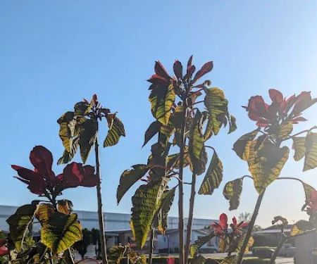 South Grove Mobile Estates