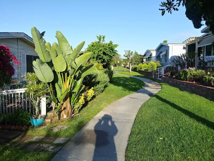 Lake Park La Mirada Picture 5