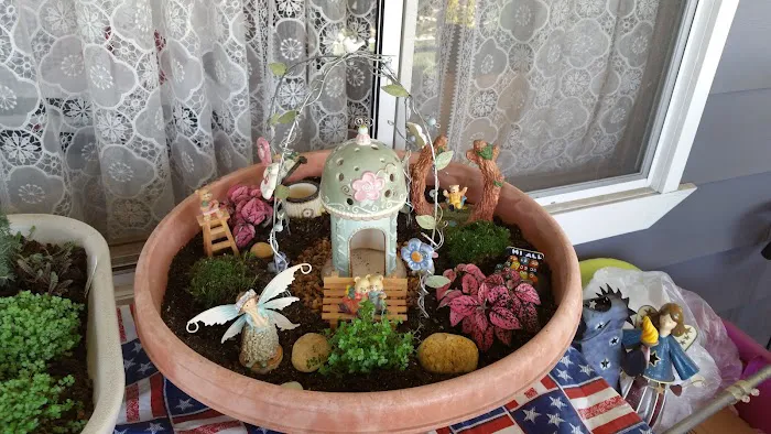 Buena Villa Picture 3