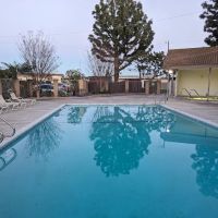 Plaza Pines Estates ico