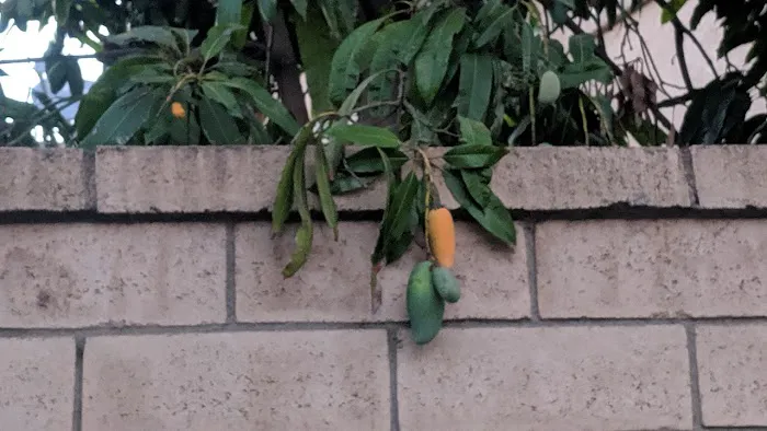 Candlewood Park Co Picture 4