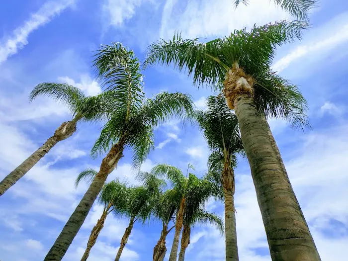 Candlewood Park Co Picture 9