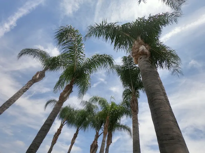 Candlewood Park Co Picture 8