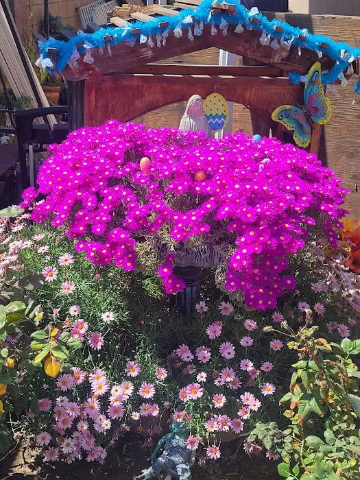 Fountain Blue Mobile Home Park Picture 10