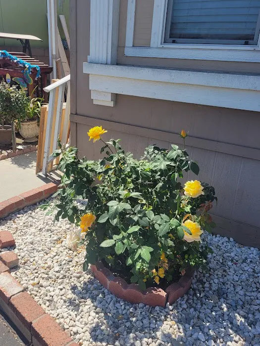 Fountain Blue Mobile Home Park Picture 9