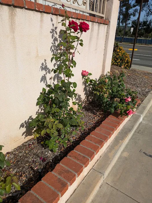 Charter Oak Mobile Home Estates Picture 5