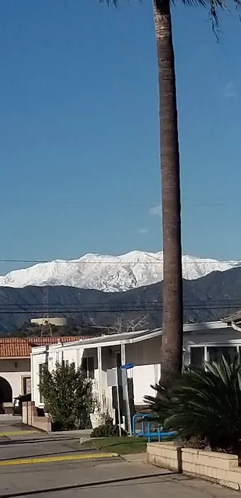 Royal Palms Mobile Home Park Picture 3