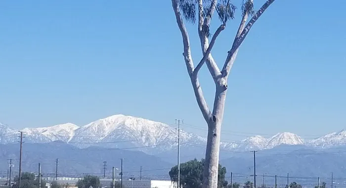 Mountain View Estates Mobile Home Park Picture 4