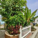 Bonita Mobile Estates