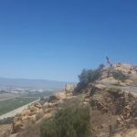 Old Plantation Manufactured Home Community