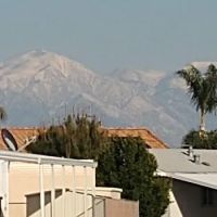 Bird of Paradise Mobile Estates ico