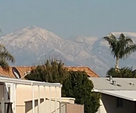 Bird of Paradise Mobile Estates